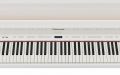 ROLAND LX-15-EPW